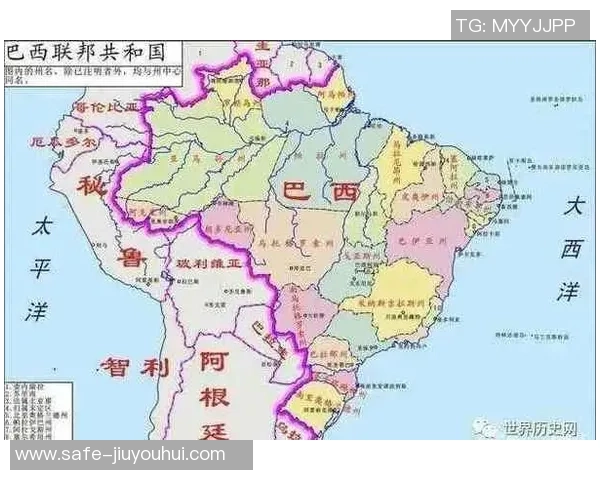 巴西政治与足球的交织影响及其对国家身份的塑造分析